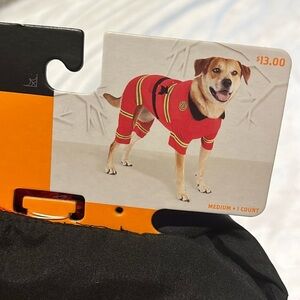 Hyde and Eek! Firefighter Dog Costume